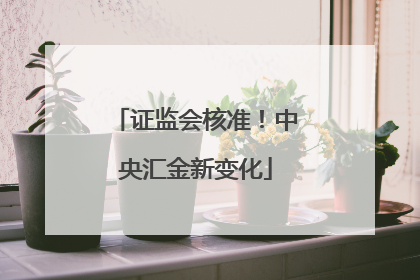 证监会核准！中央汇金新变化