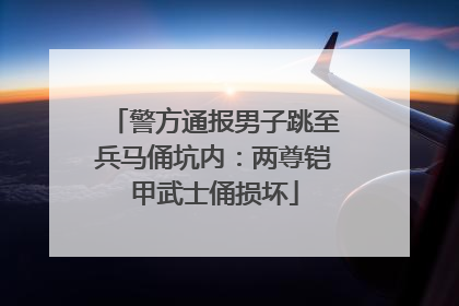 警方通报男子跳至兵马俑坑内：两尊铠甲武士俑损坏