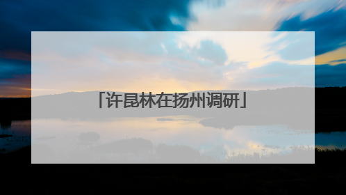 许昆林在扬州调研