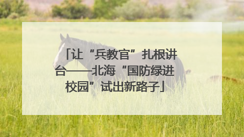 让“兵教官”扎根讲台——北海“国防绿进校园”试出新路子