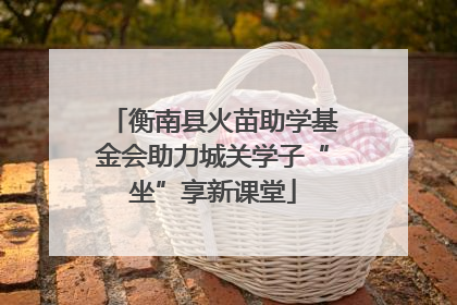 衡南县火苗助学基金会助力城关学子“坐”享新课堂
