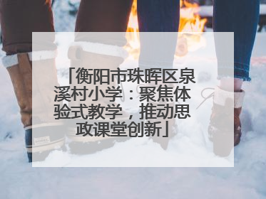 衡阳市珠晖区泉溪村小学：聚焦体验式教学，推动思政课堂创新