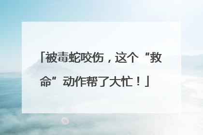 被毒蛇咬伤，这个“救命”动作帮了大忙！