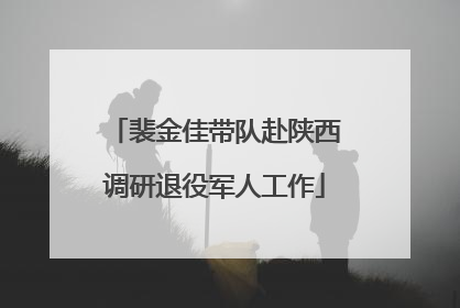 裴金佳带队赴陕西调研退役军人工作