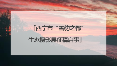 西宁市“雪豹之都”生态摄影展征稿启事