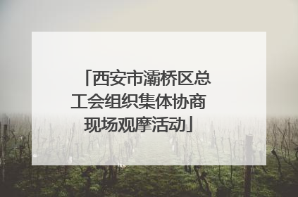 西安市灞桥区总工会组织集体协商现场观摩活动