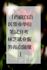 西藏自治区事业单位笔试开考 林芝就业服务亮点频现