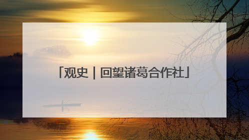 观史｜回望诸葛合作社
