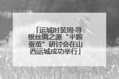 运城时装周·寻根丝绸之源“半颗蚕茧”研讨会在山西运城成功举行