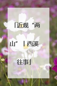 近观“两山”丨西溪往事
