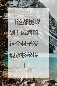 这都能找到！威海的这个村子发现水杉秘境