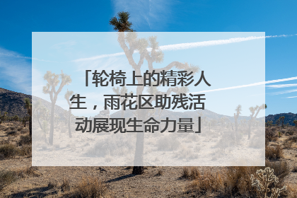 轮椅上的精彩人生，雨花区助残活动展现生命力量