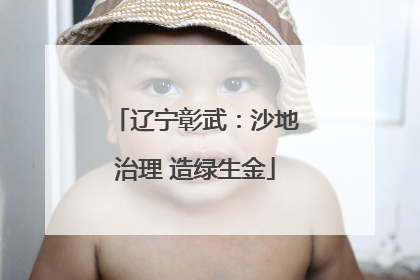 辽宁彰武：沙地治理 造绿生金