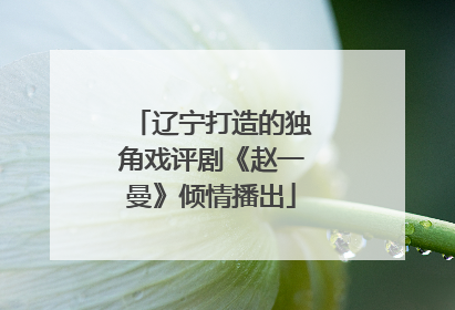 辽宁打造的独角戏评剧《赵一曼》倾情播出