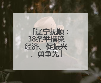 辽宁抚顺：38条举措稳经济、促振兴、勇争先