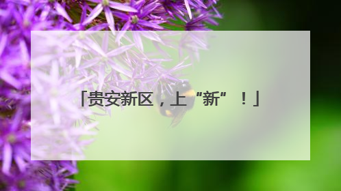 贵安新区，上“新”！