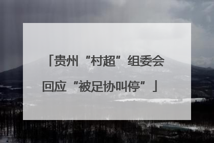 贵州“村超”组委会回应“被足协叫停”