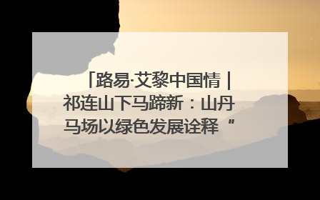 路易·艾黎中国情｜祁连山下马蹄新：山丹马场以绿色发展诠释“两山”理论实践