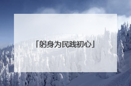躬身为民践初心