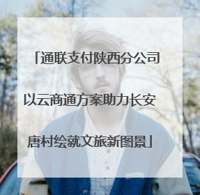 通联支付陕西分公司以云商通方案助力长安唐村绘就文旅新图景