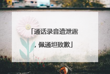 通话录音遭泄露，佩通坦致歉