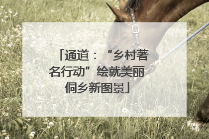 通道：“乡村著名行动”绘就美丽侗乡新图景