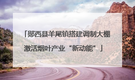 郧西县羊尾镇搭建调制大棚激活烟叶产业“新动能”
