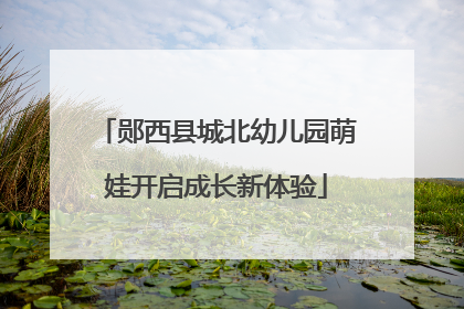 郧西县城北幼儿园萌娃开启成长新体验