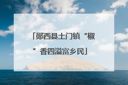 郧西县土门镇“椒”香四溢富乡民