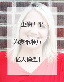 重磅！华为发布准万亿大模型