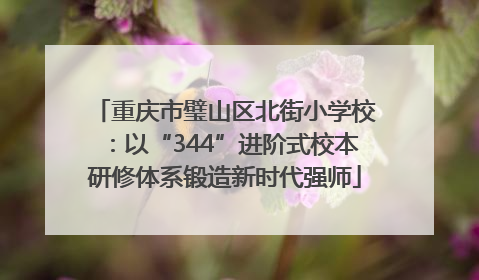 重庆市璧山区北街小学校：以“344”进阶式校本研修体系锻造新时代强师