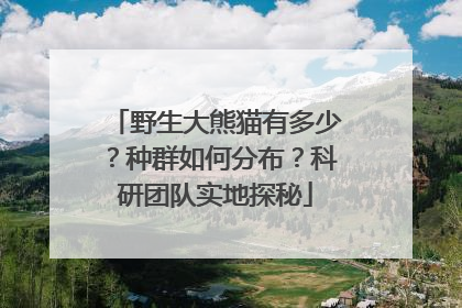 野生大熊猫有多少？种群如何分布？科研团队实地探秘