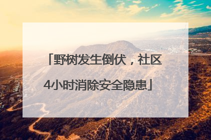 野树发生倒伏，社区4小时消除安全隐患