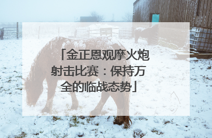 金正恩观摩火炮射击比赛：保持万全的临战态势