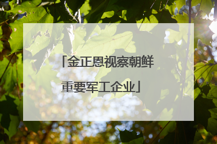 金正恩视察朝鲜重要军工企业