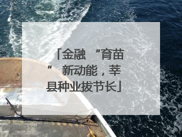 金融 “育苗” 新动能，莘县种业拔节长