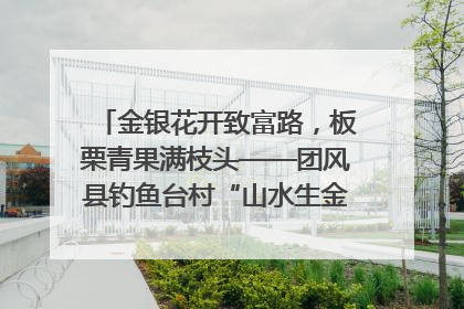 金银花开致富路，板栗青果满枝头——团风县钓鱼台村“山水生金”谱写共富新篇章