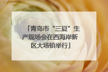 青岛市“三夏”生产现场会在西海岸新区大场镇举行