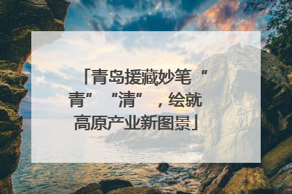 青岛援藏妙笔“青”“清”，绘就高原产业新图景