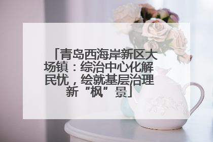 青岛西海岸新区大场镇：综治中心化解民忧，绘就基层治理新“枫”景