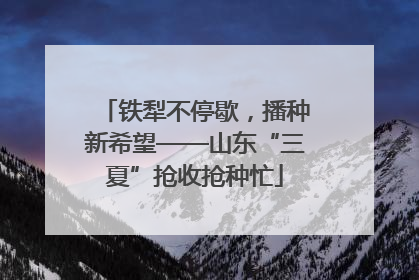 铁犁不停歇，播种新希望——山东“三夏”抢收抢种忙