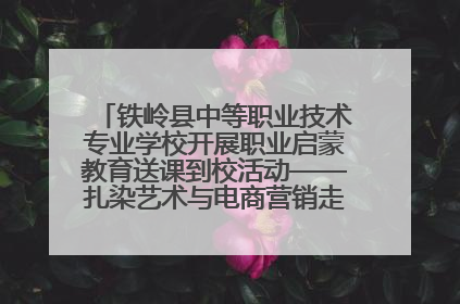 铁岭县中等职业技术专业学校开展职业启蒙教育送课到校活动——扎染艺术与电商营销走进熊官屯镇中心小学