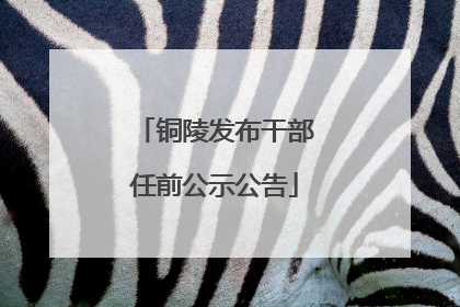 铜陵发布干部任前公示公告
