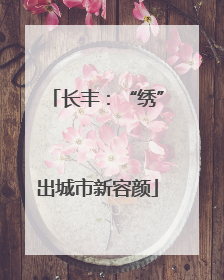 长丰：“绣”出城市新容颜