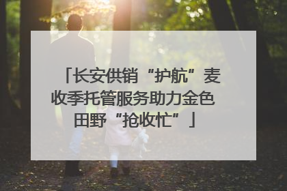 长安供销“护航”麦收季托管服务助力金色田野“抢收忙”