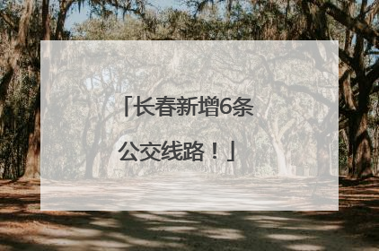 长春新增6条公交线路！