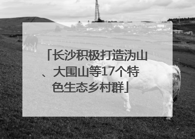 长沙积极打造沩山、大围山等17个特色生态乡村群