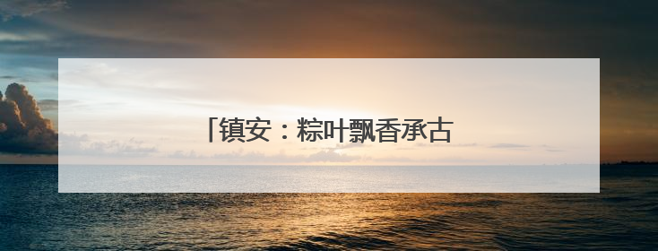 镇安：粽叶飘香承古韵 志愿传情暖端午