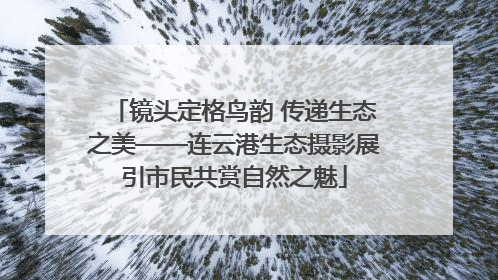 镜头定格鸟韵 传递生态之美——连云港生态摄影展引市民共赏自然之魅