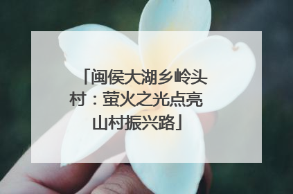 闽侯大湖乡岭头村：萤火之光点亮山村振兴路